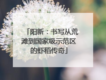 阳新：书写从荒滩到国家级示范区的虾稻传奇