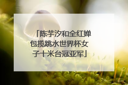 陈芋汐和全红婵包揽跳水世界杯女子十米台冠亚军