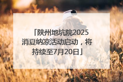 陕州地坑院2025消夏纳凉活动启动，将持续至7月20日