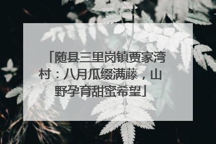 随县三里岗镇贾家湾村：八月瓜缀满藤，山野孕育甜蜜希望