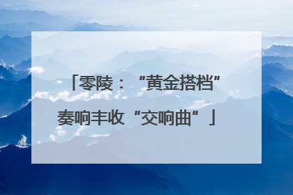 零陵：“黄金搭档”奏响丰收“交响曲”