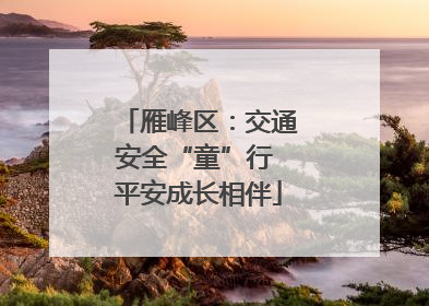 雁峰区：交通安全“童”行 平安成长相伴