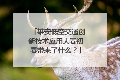 雄安低空交通创新技术应用大赛初赛带来了什么？