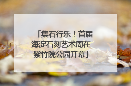 集石行乐！首届海淀石刻艺术周在紫竹院公园开幕