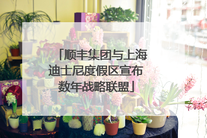 顺丰集团与上海迪士尼度假区宣布数年战略联盟