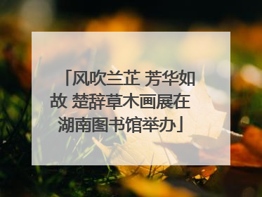 风吹兰芷 芳华如故 楚辞草木画展在湖南图书馆举办
