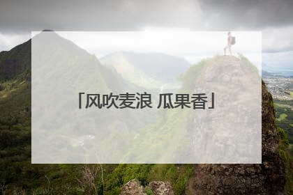 风吹麦浪 瓜果香