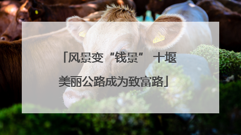 风景变“钱景” 十堰美丽公路成为致富路