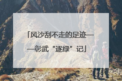 风沙刮不走的足迹——彰武“逐绿”记