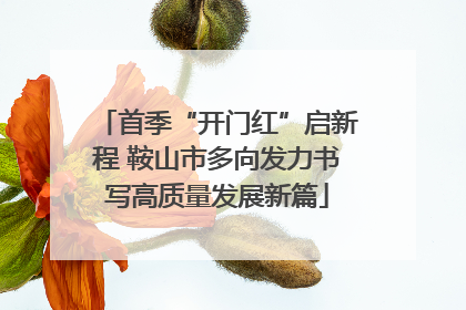 首季“开门红”启新程 鞍山市多向发力书写高质量发展新篇