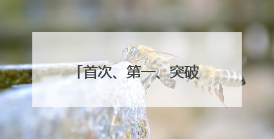 首次、第一、突破！我国多领域周末更新“重磅动态”