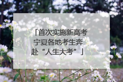 首次实施新高考 宁夏各地考生奔赴“人生大考”