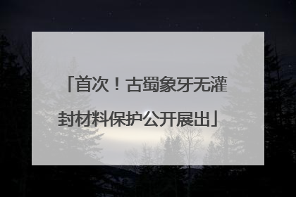 首次！古蜀象牙无灌封材料保护公开展出