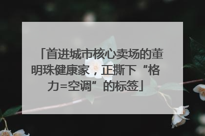 首进城市核心卖场的董明珠健康家，正撕下“格力=空调”的标签