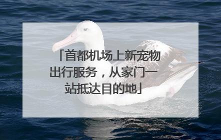 首都机场上新宠物出行服务，从家门一站抵达目的地