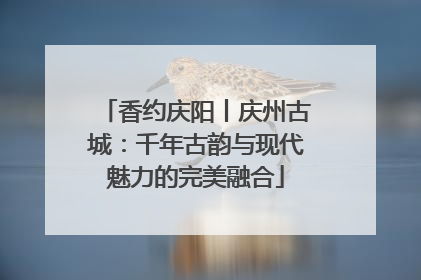 香约庆阳丨庆州古城：千年古韵与现代魅力的完美融合