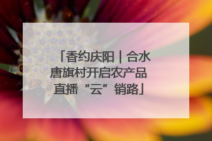 香约庆阳｜合水唐旗村开启农产品直播“云”销路