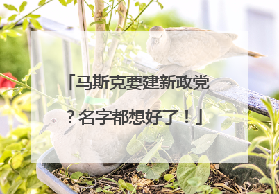 马斯克要建新政党?名字都想好了!