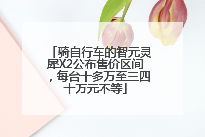 骑自行车的智元灵犀X2公布售价区间，每台十多万至三四十万元不等