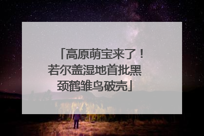 高原萌宝来了！若尔盖湿地首批黑颈鹤雏鸟破壳