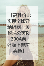高性价比实现全球异地组网！贝锐蒲公英R300A海外版上架速卖通