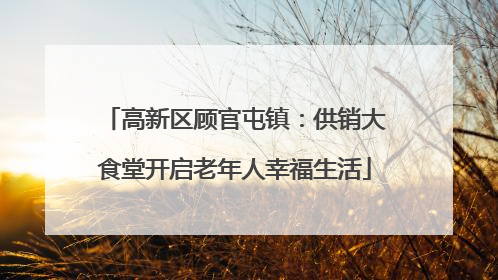 高新区顾官屯镇：供销大食堂开启老年人幸福生活
