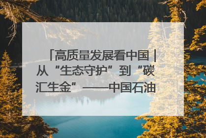 高质量发展看中国｜从“生态守护”到“碳汇生金”——中国石油大庆油田绿色蝶变