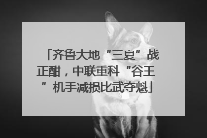 齐鲁大地“三夏”战正酣，中联重科“谷王”机手减损比武夺魁