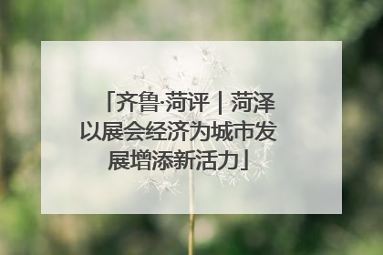 齐鲁·菏评｜菏泽以展会经济为城市发展增添新活力