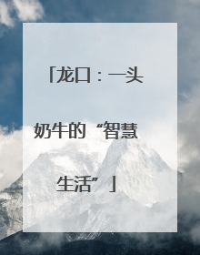 龙口：一头奶牛的“智慧生活”