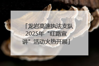 龙岩高速执法支队2025年“红路宣讲”活动火热开展