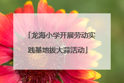 龙海小学开展劳动实践基地拔大蒜活动