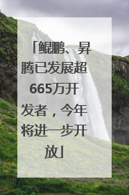 鲲鹏、昇腾已发展超665万开发者，今年将进一步开放