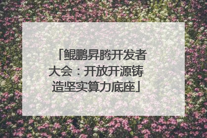 鲲鹏昇腾开发者大会：开放开源铸造坚实算力底座