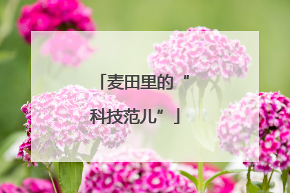 麦田里的“科技范儿”