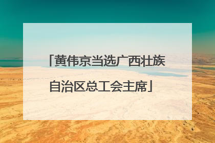 黄伟京当选广西壮族自治区总工会主席