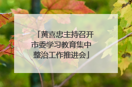 黄喜忠主持召开市委学习教育集中整治工作推进会