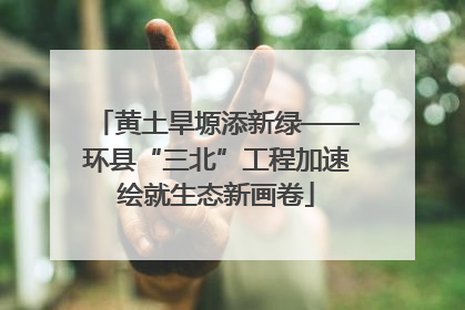 黄土旱塬添新绿——环县“三北”工程加速绘就生态新画卷