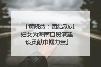 黄晓薇：团结动员妇女为海南自贸港建设贡献巾帼力量