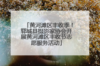 黄河滩区丰收季！郓城县摄影家协会开展黄河滩区丰收节志愿服务活动