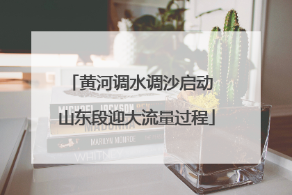 黄河调水调沙启动 山东段迎大流量过程