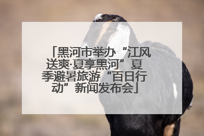 黑河市举办“江风送爽·夏享黑河”夏季避暑旅游“百日行动”新闻发布会