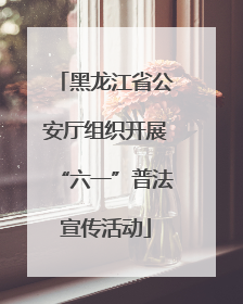 黑龙江省公安厅组织开展“六一”普法宣传活动