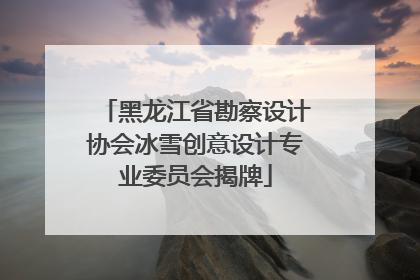 黑龙江省勘察设计协会冰雪创意设计专业委员会揭牌