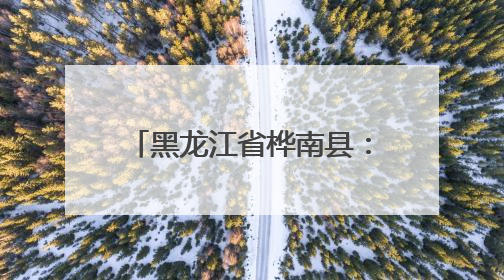 黑龙江省桦南县：建强法治人才队伍 提升基层治理水平