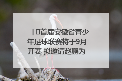 ﻿首届安徽省青少年足球联赛将于9月开赛 拟邀请赵鹏为先导赛开球