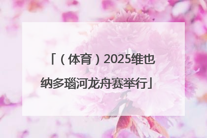 （体育）2025维也纳多瑙河龙舟赛举行