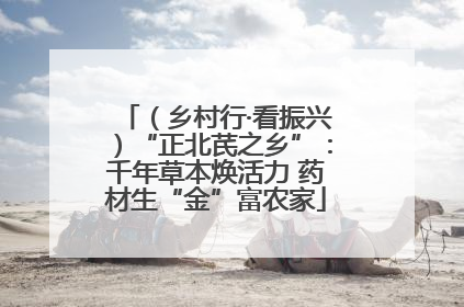（乡村行·看振兴）“正北芪之乡”：千年草本焕活力 药材生“金”富农家