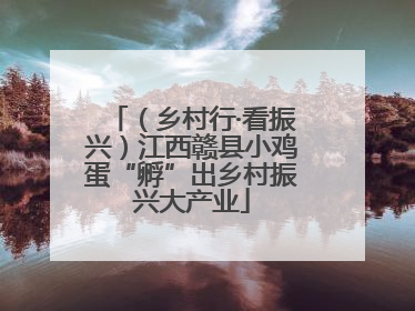 （乡村行·看振兴）江西赣县小鸡蛋“孵”出乡村振兴大产业