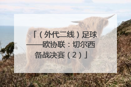 （外代二线）足球——欧协联：切尔西备战决赛（2）